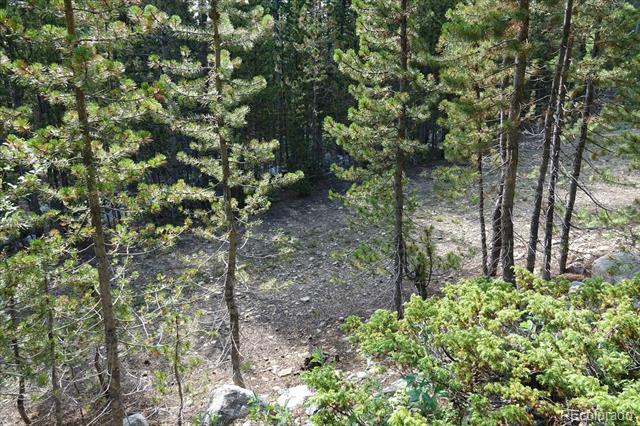 00 Upper Forest Rd