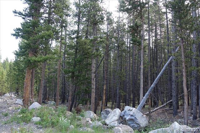 00 Upper Forest Rd