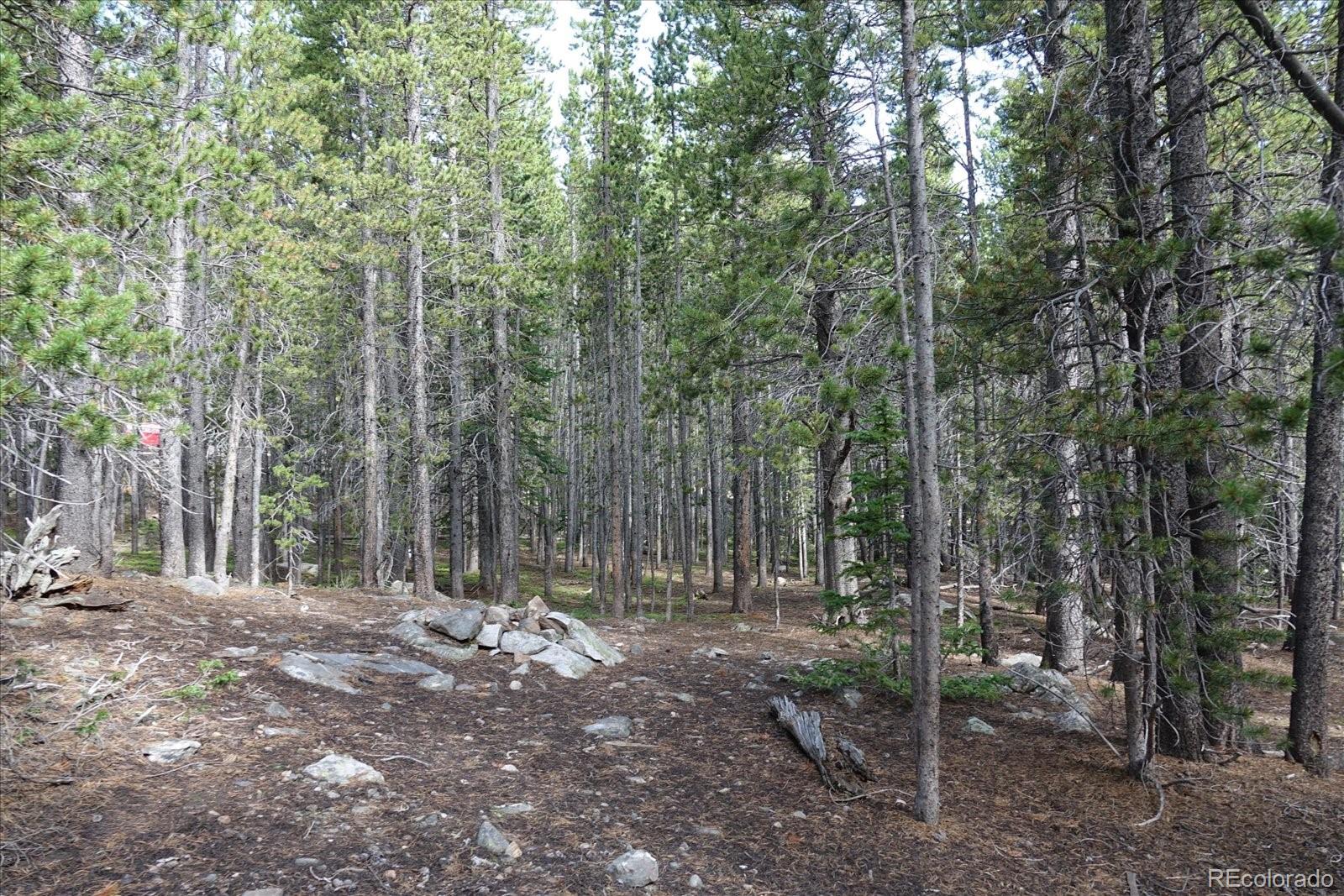 00 Upper Forest Rd