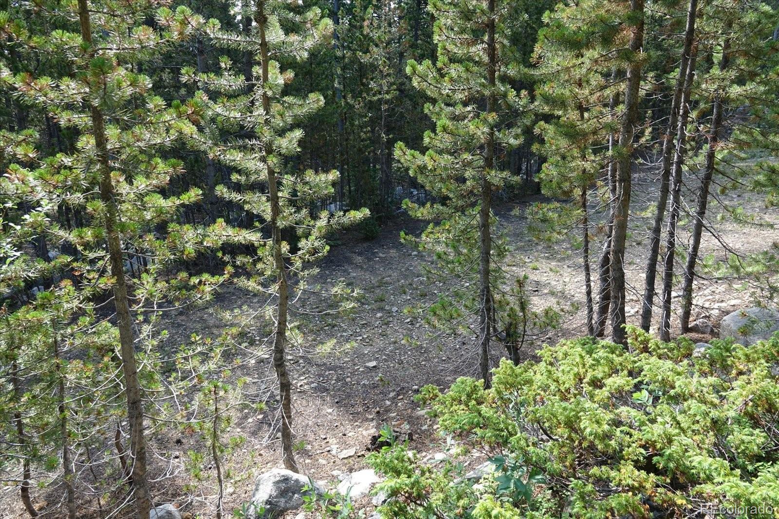 00 Upper Forest Rd
