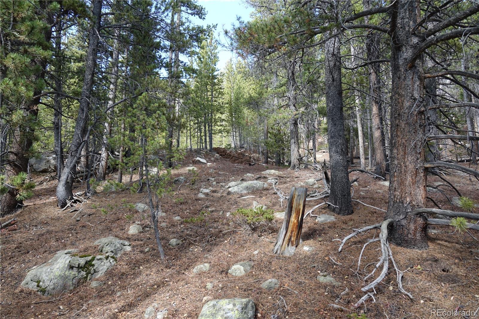 000 Loch Lomond Rd & Vista Rd