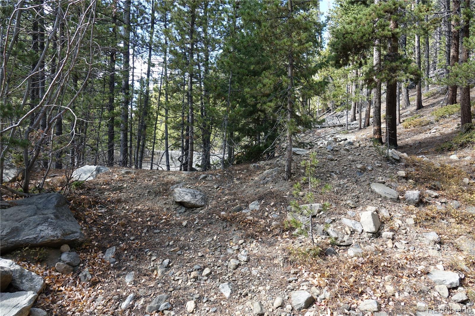 000 Loch Lomond Rd & Vista Rd