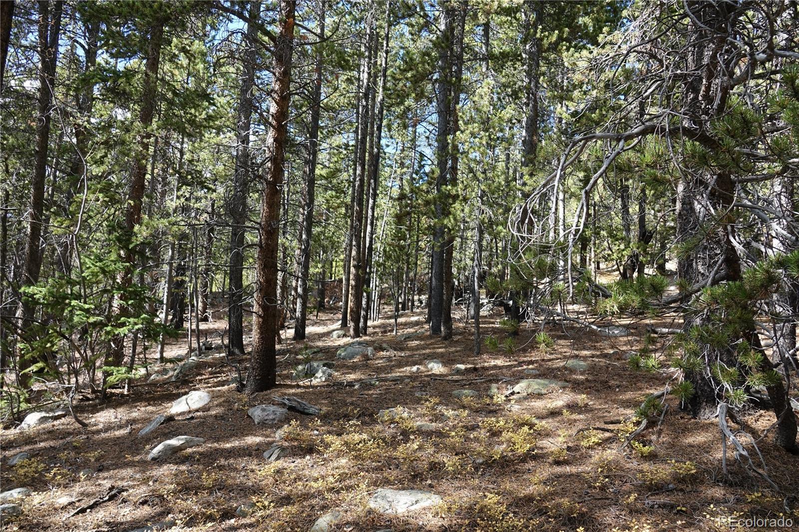 000 Loch Lomond Rd & Vista Rd