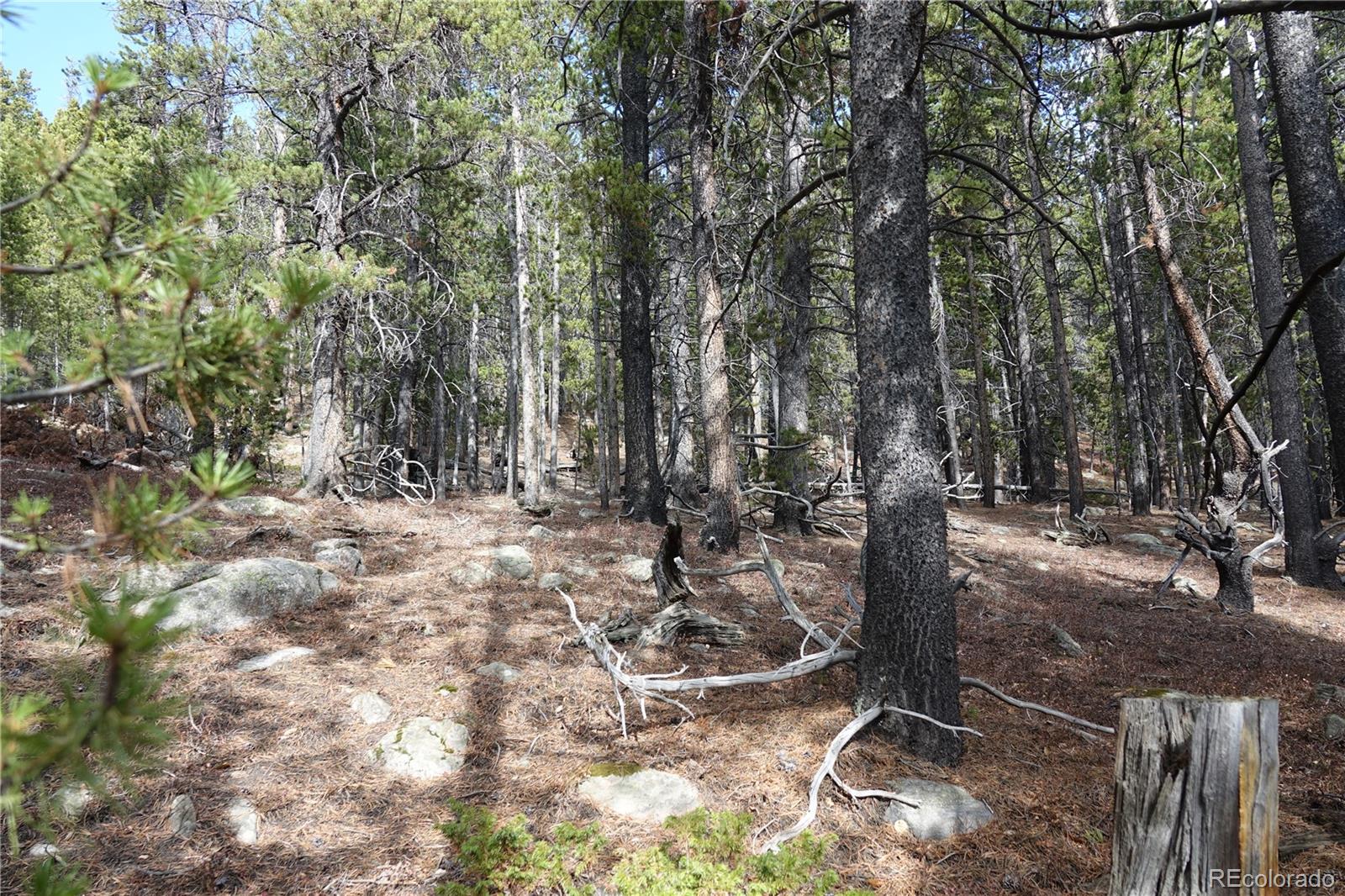 000 Loch Lomond Rd & Vista Rd