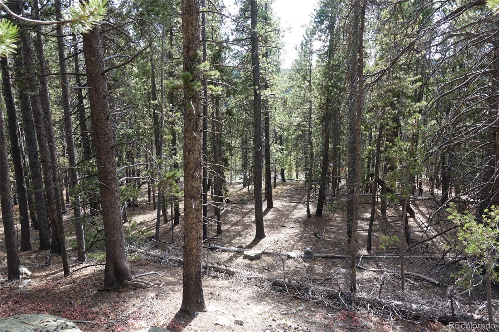 000 Loch Lomond Rd & Vista Rd