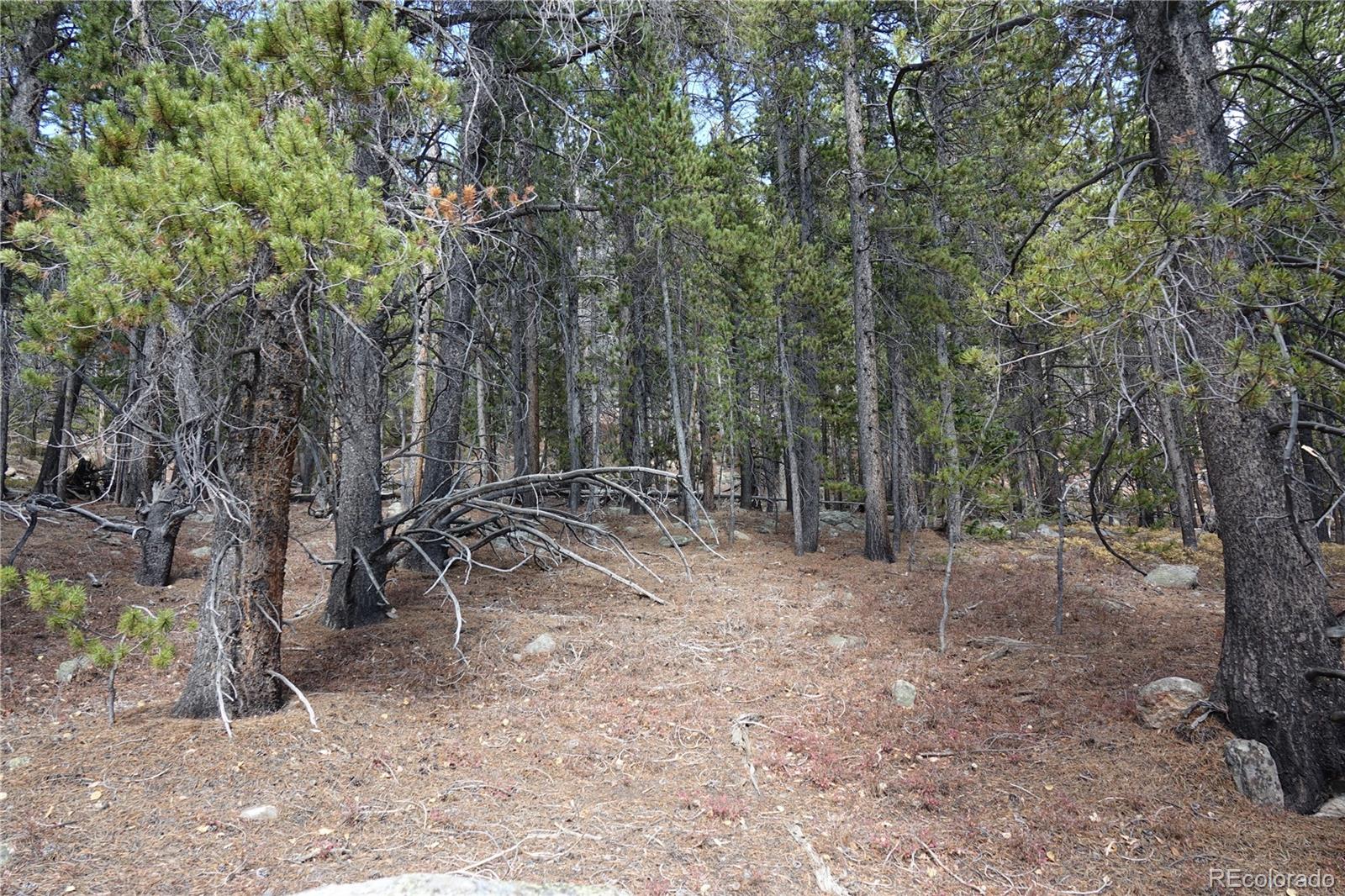 000 Loch Lomond Rd & Vista Rd