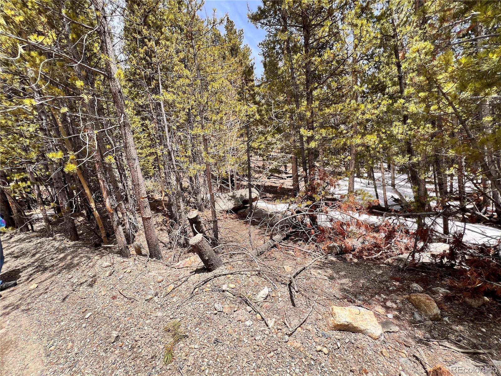 000 Loch Lomond Rd & Vista Rd