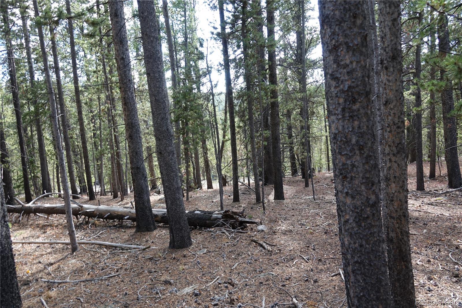 000 Loch Lomond Rd & Vista Rd