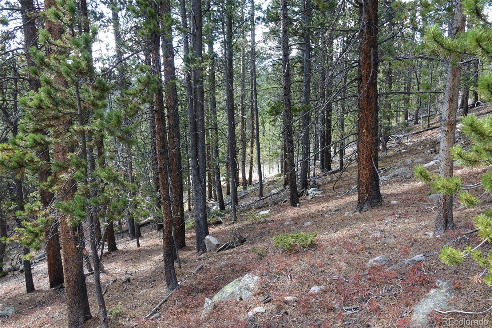 000 Loch Lomond Rd & Vista Rd