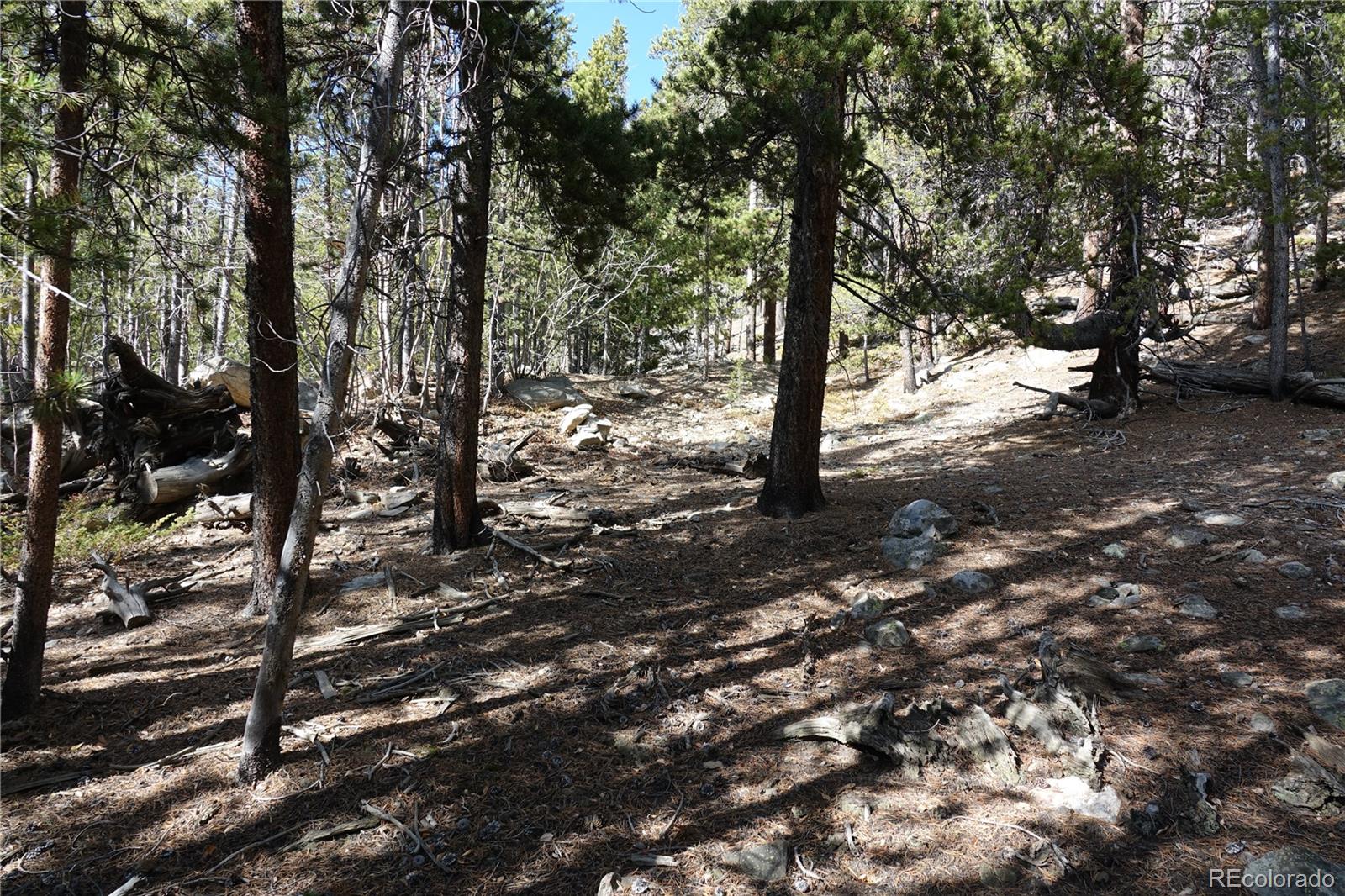 000 Loch Lomond Rd & Vista Rd