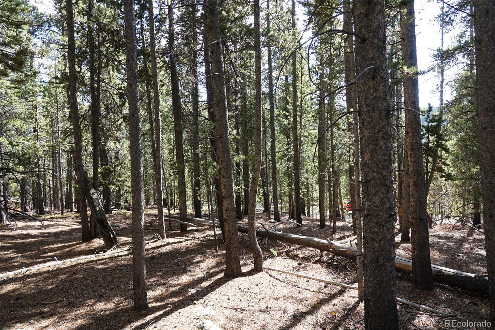 000 Loch Lomond Rd & Vista Rd