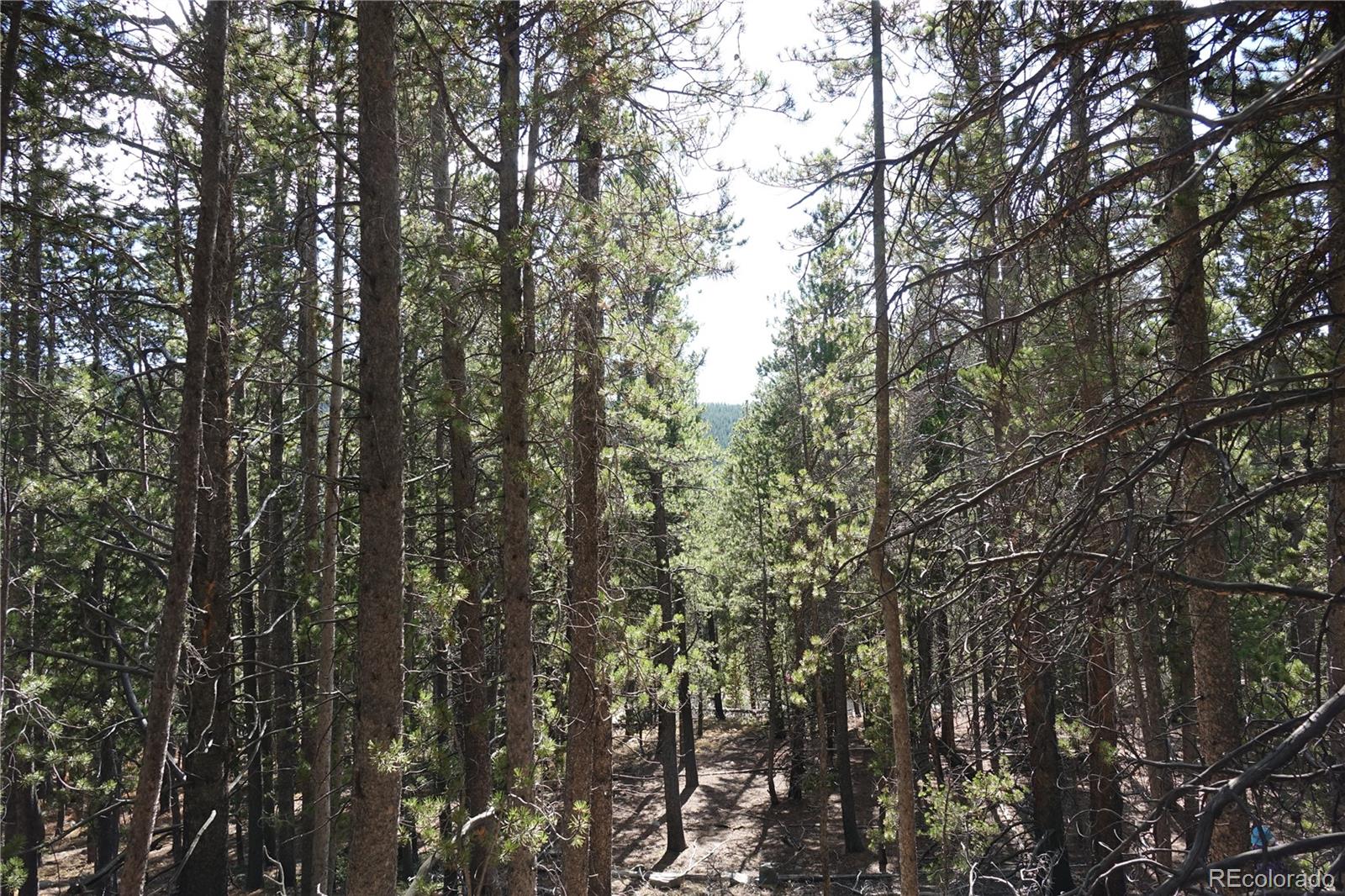 000 Loch Lomond Rd & Vista Rd