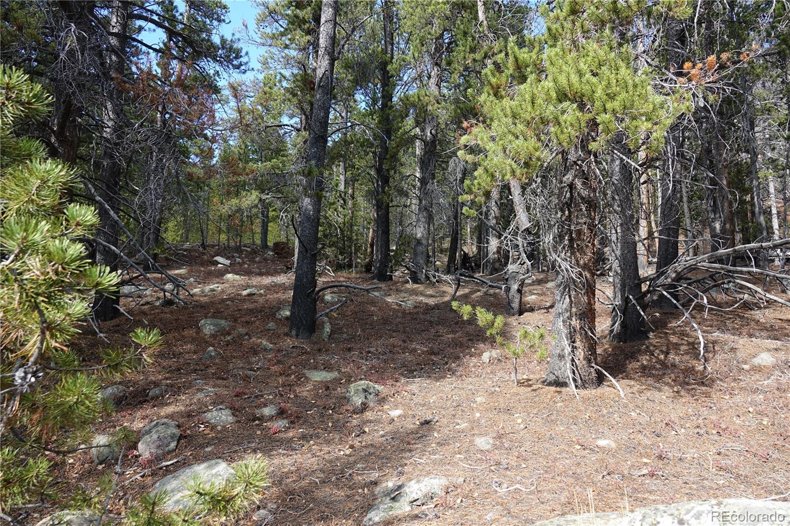 000 Loch Lomond Rd & Vista Rd