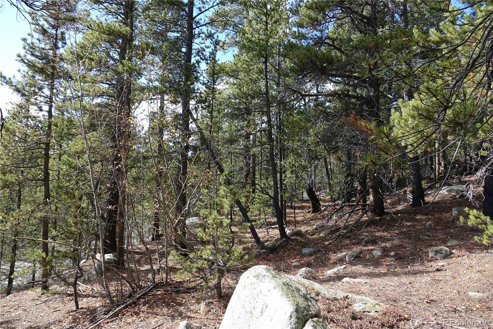 000 Loch Lomond Rd & Vista Rd