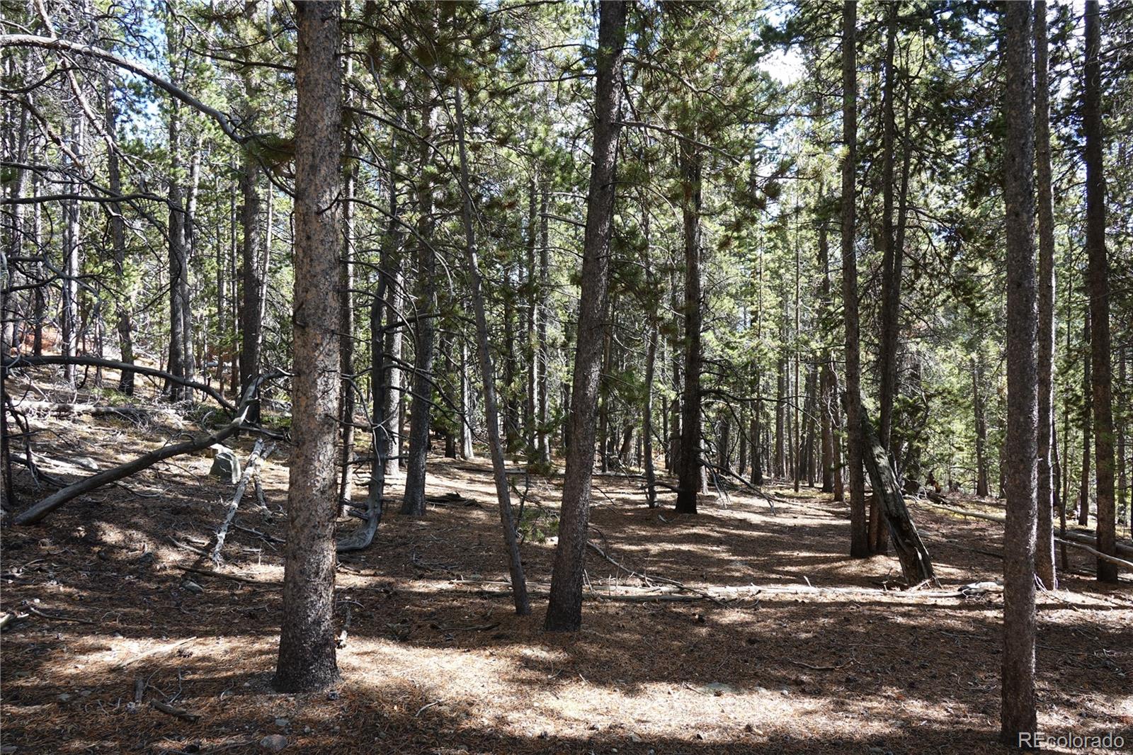 000 Loch Lomond Rd & Vista Rd