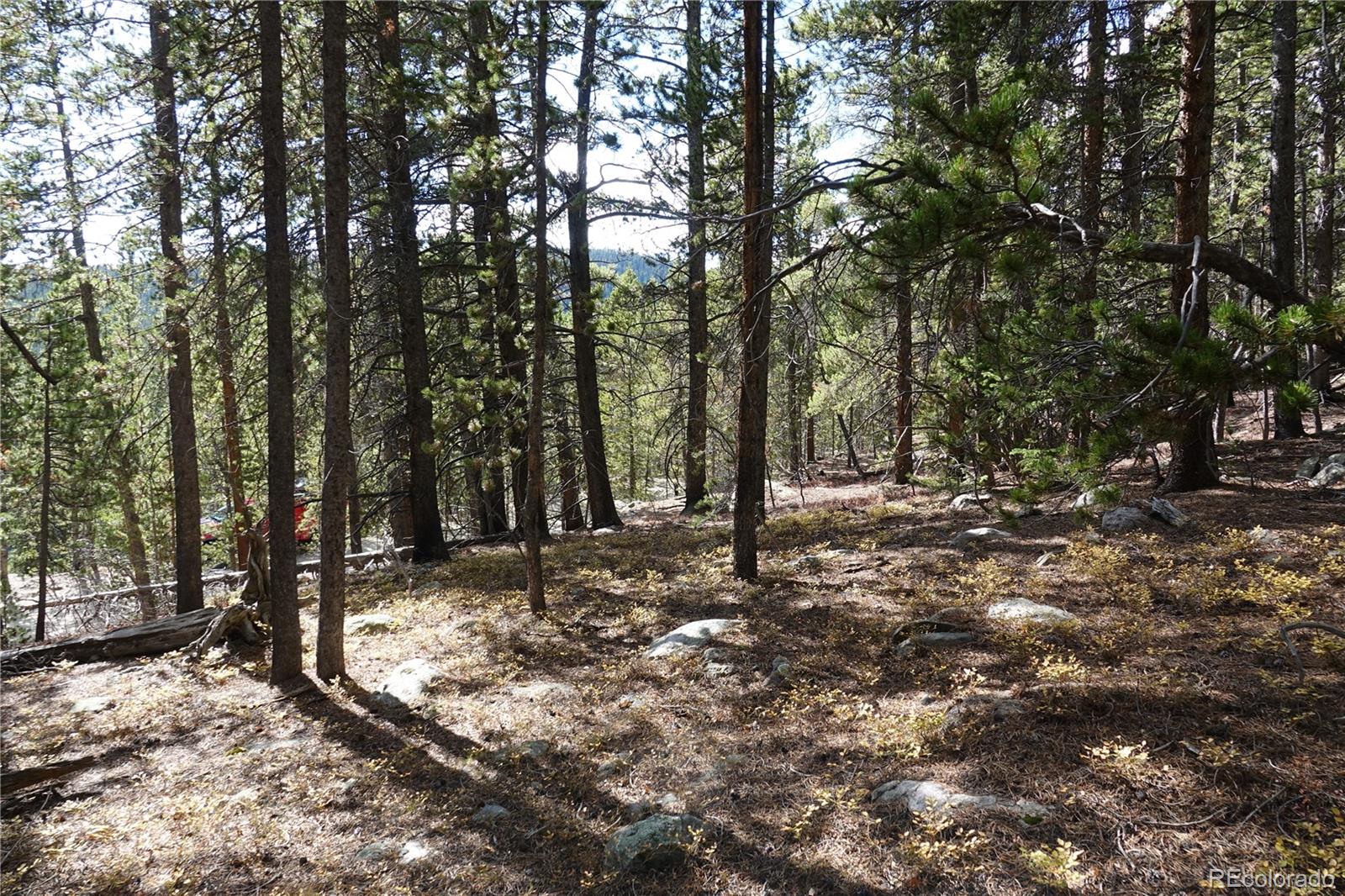 000 Loch Lomond Rd & Vista Rd