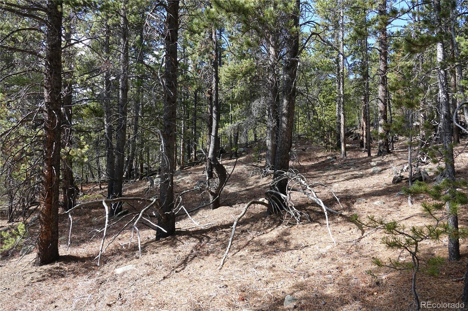 000 Loch Lomond Rd & Vista Rd