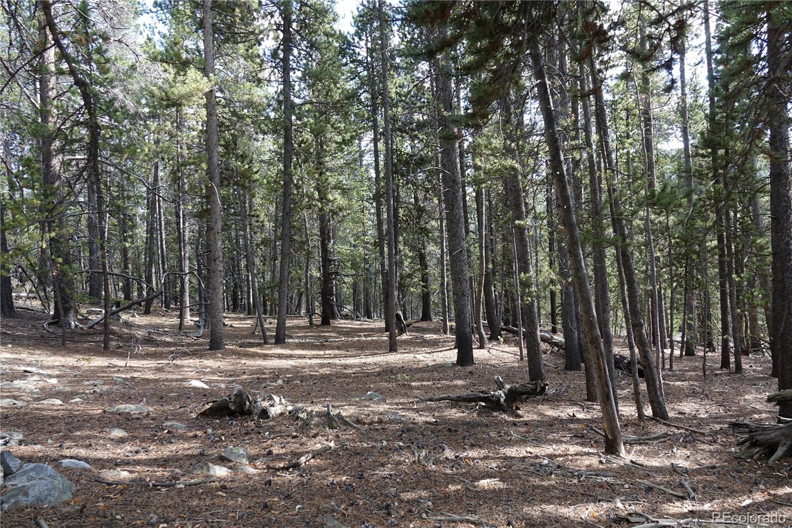 000 Loch Lomond Rd & Vista Rd