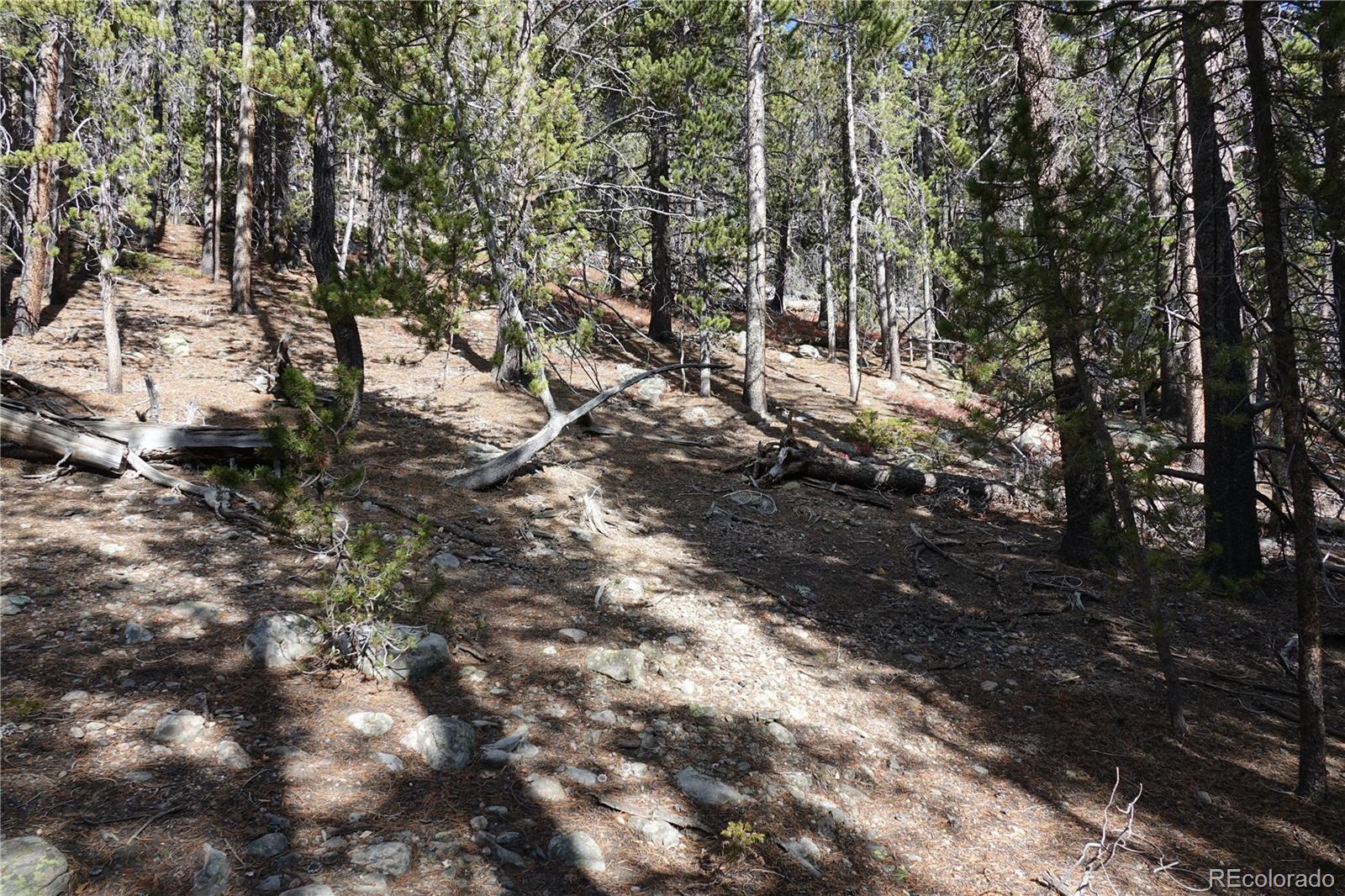 000 Loch Lomond Rd & Vista Rd