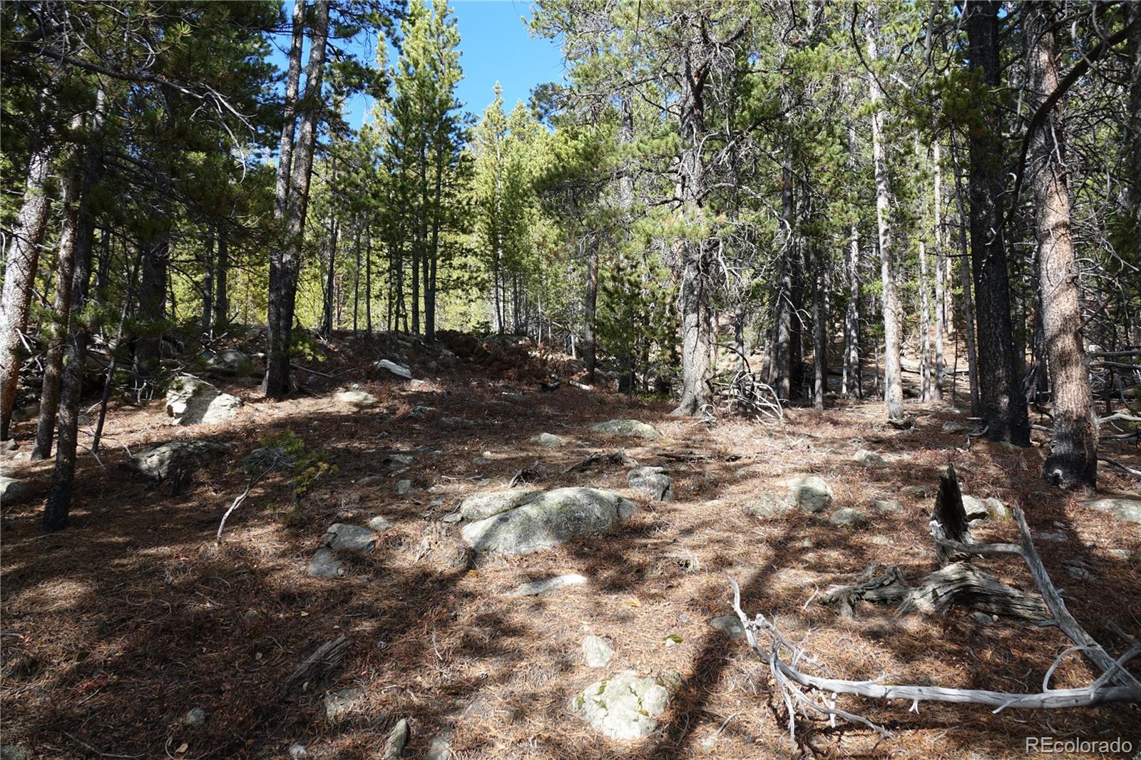 000 Loch Lomond Rd & Vista Rd