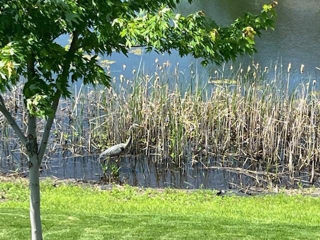 12809 Lake Vista Lane