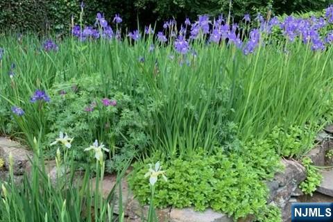 716 Morningside Road