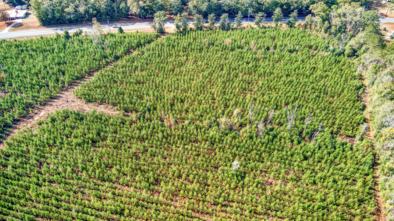 0 Bainbridge Rd Highway