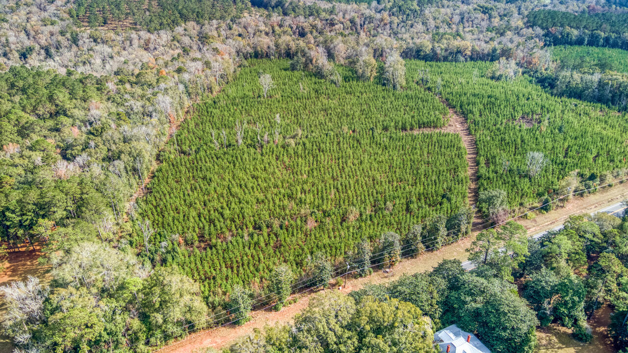 0 Bainbridge Rd Highway