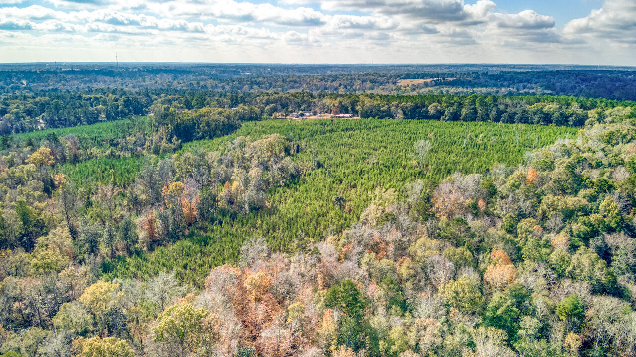 0 Bainbridge Rd Highway