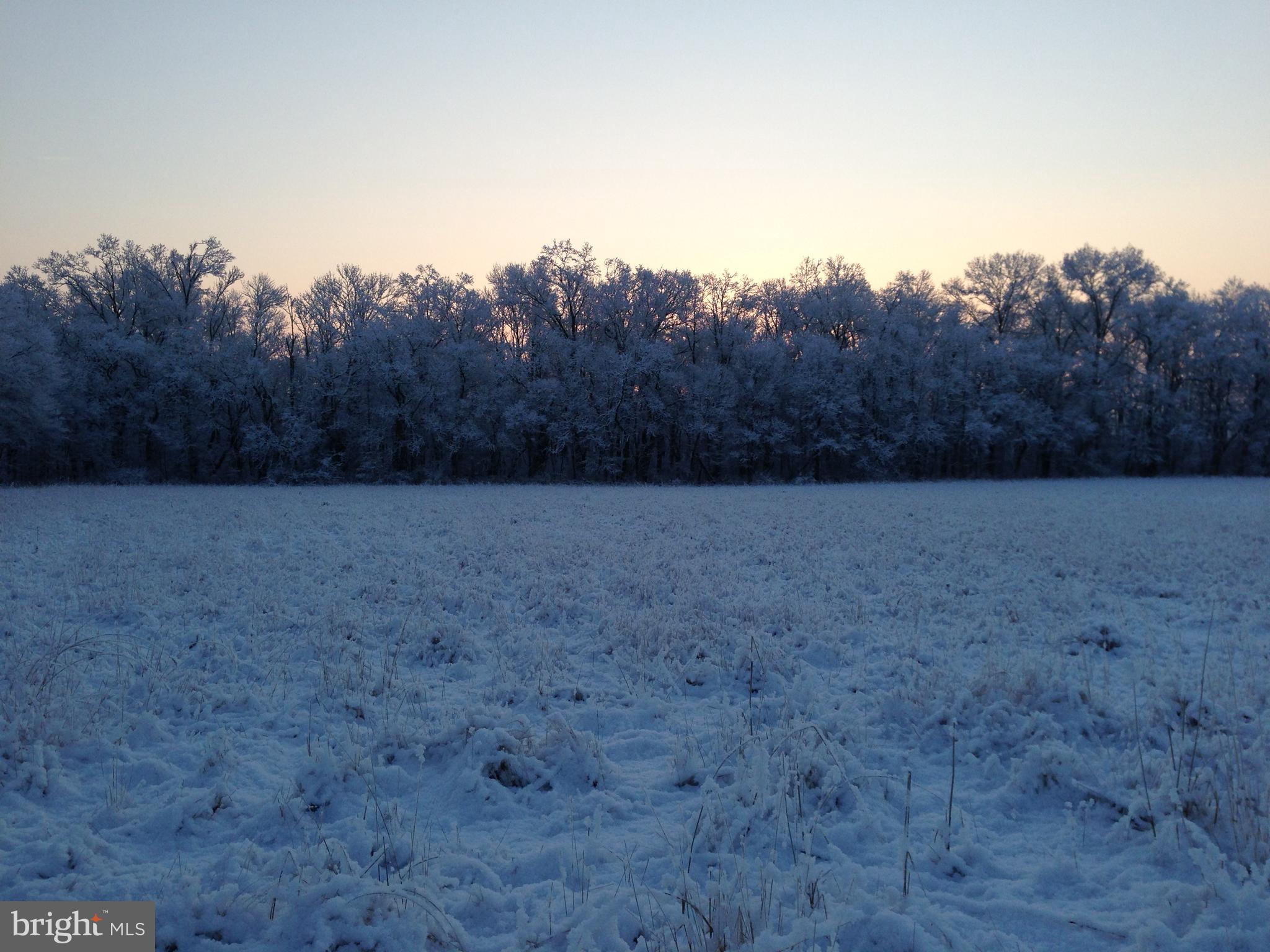 37 BARBERTOWN POINT BREEZE ROAD 3 LOT