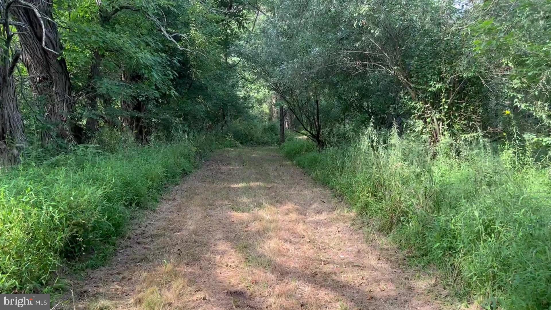 37 BARBERTOWN POINT BREEZE ROAD 3 LOT