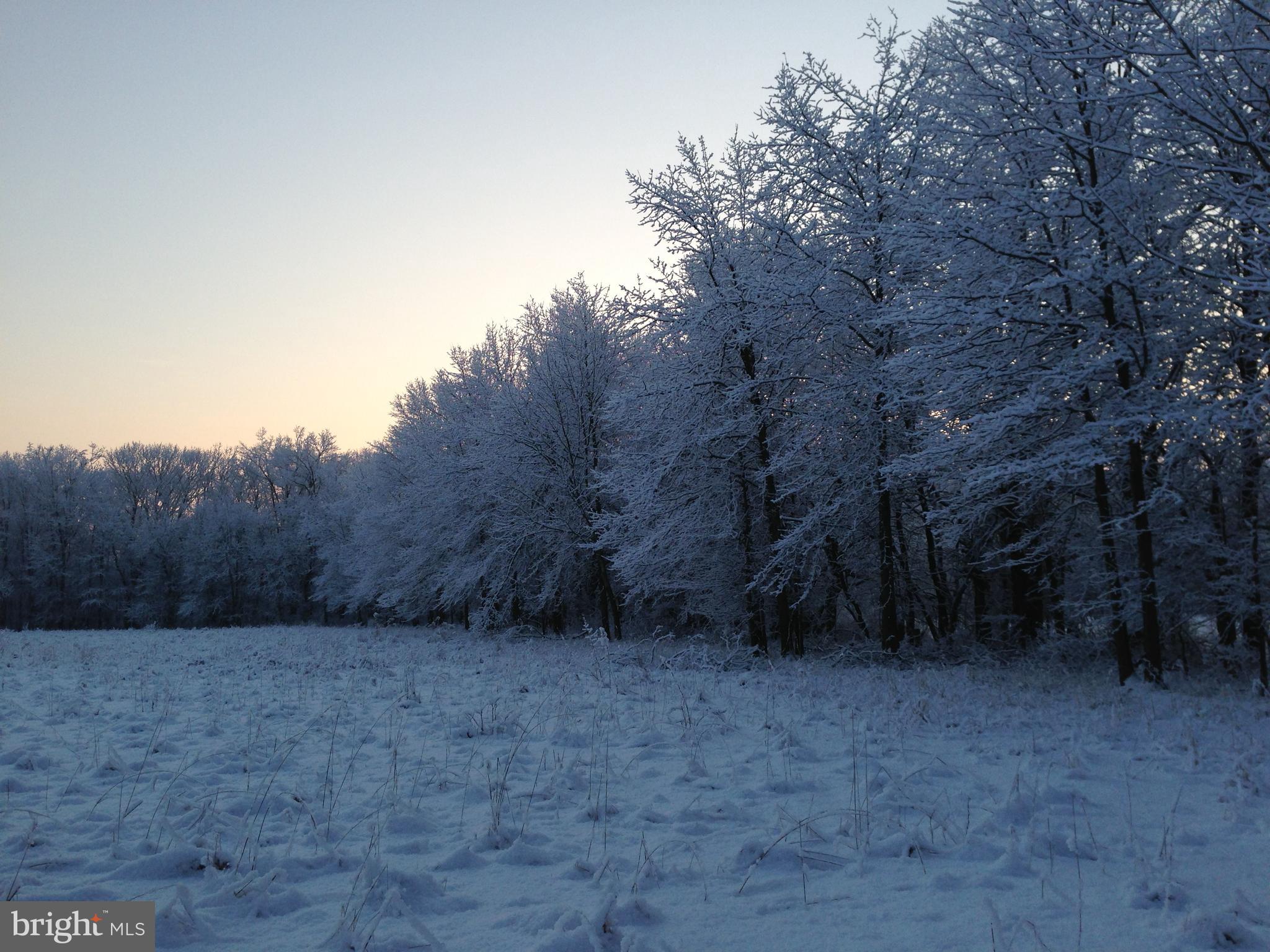 37 BARBERTOWN POINT BREEZE ROAD 3 LOT