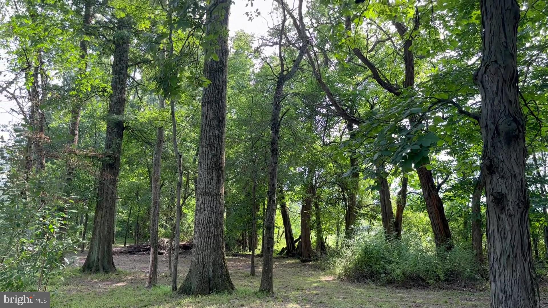 37 BARBERTOWN POINT BREEZE ROAD 3 LOT