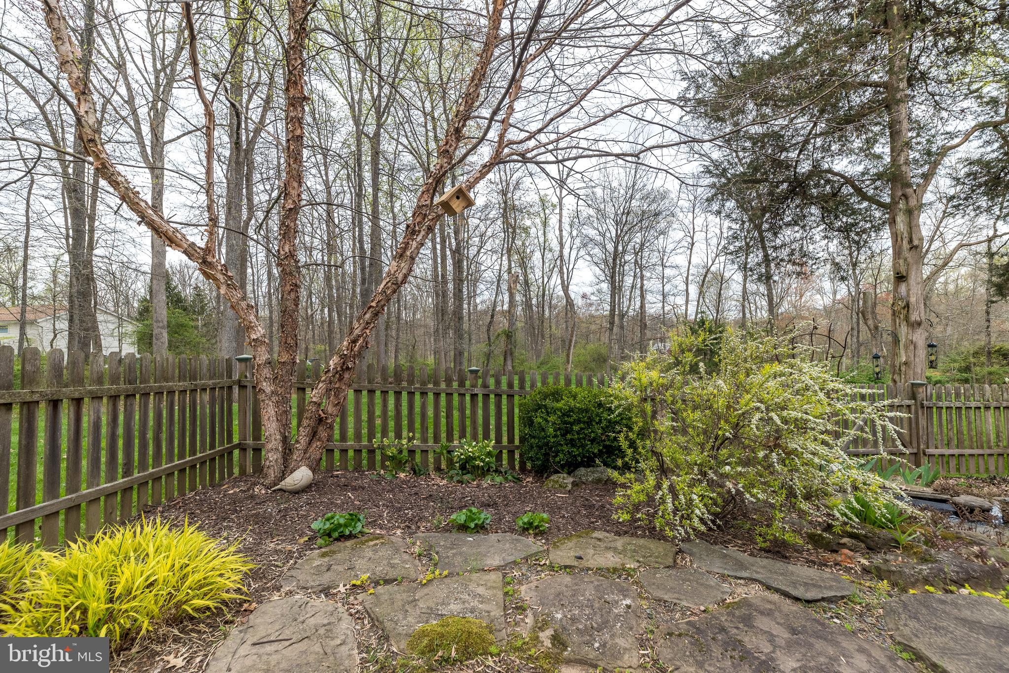 467 Lonely Cottage Rd