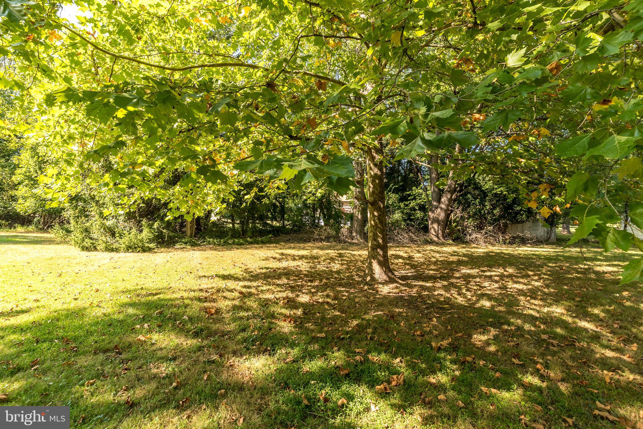 878 Sandy Ridge Rd E