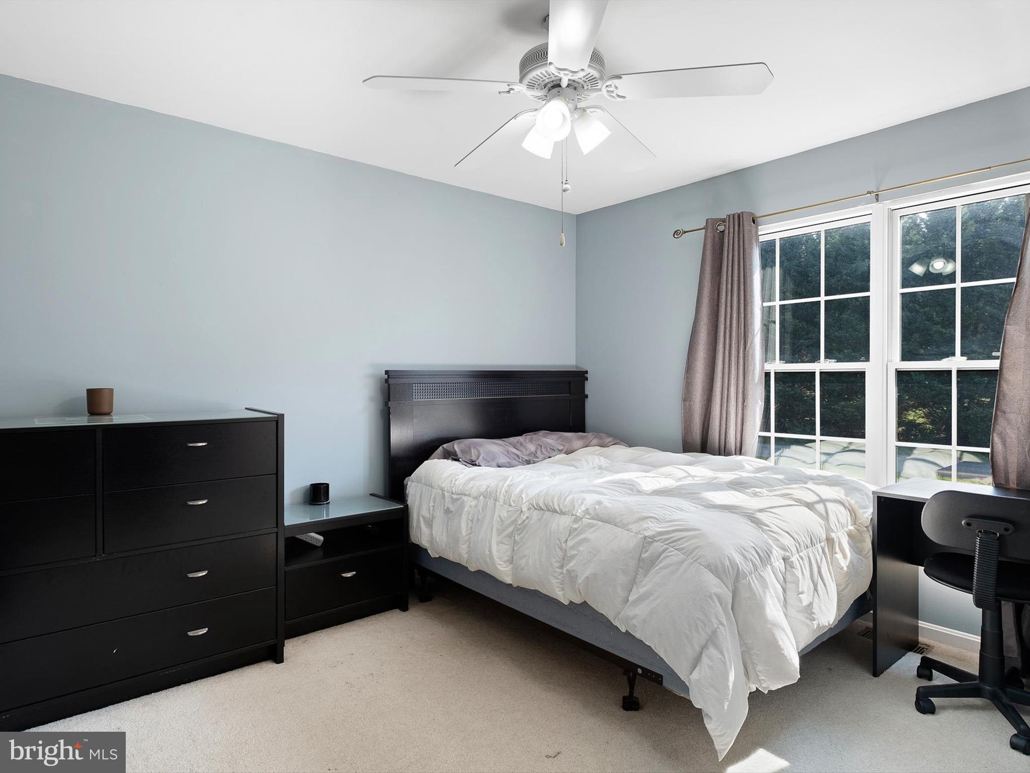 411 Palmers Dr