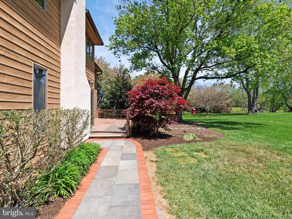 1136 Dorset Dr