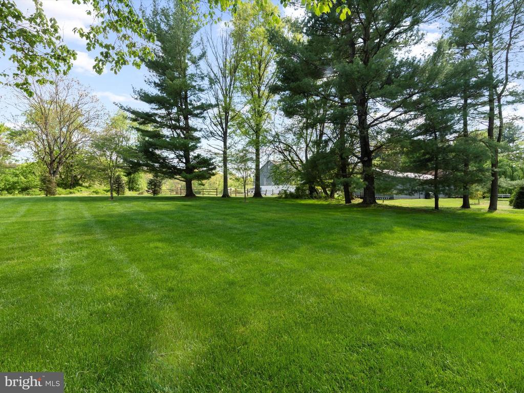 1136 Dorset Dr