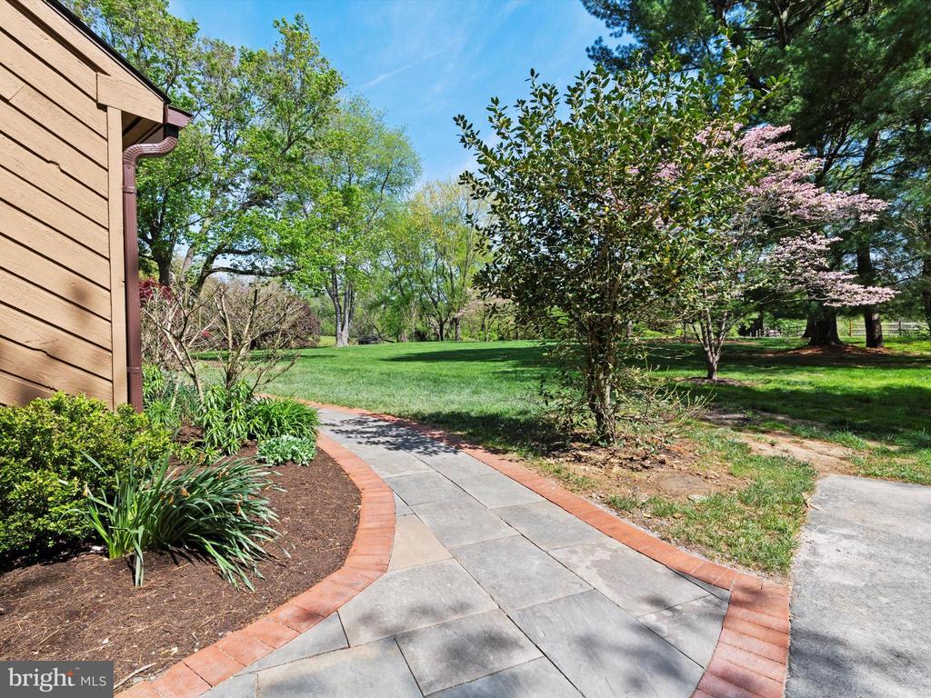 1136 Dorset Dr
