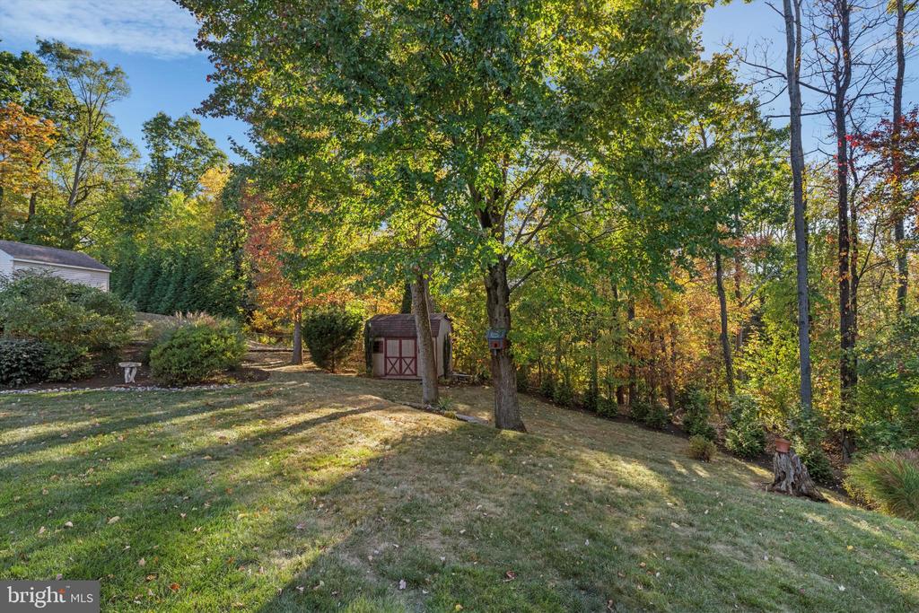 528 Ellis Rd