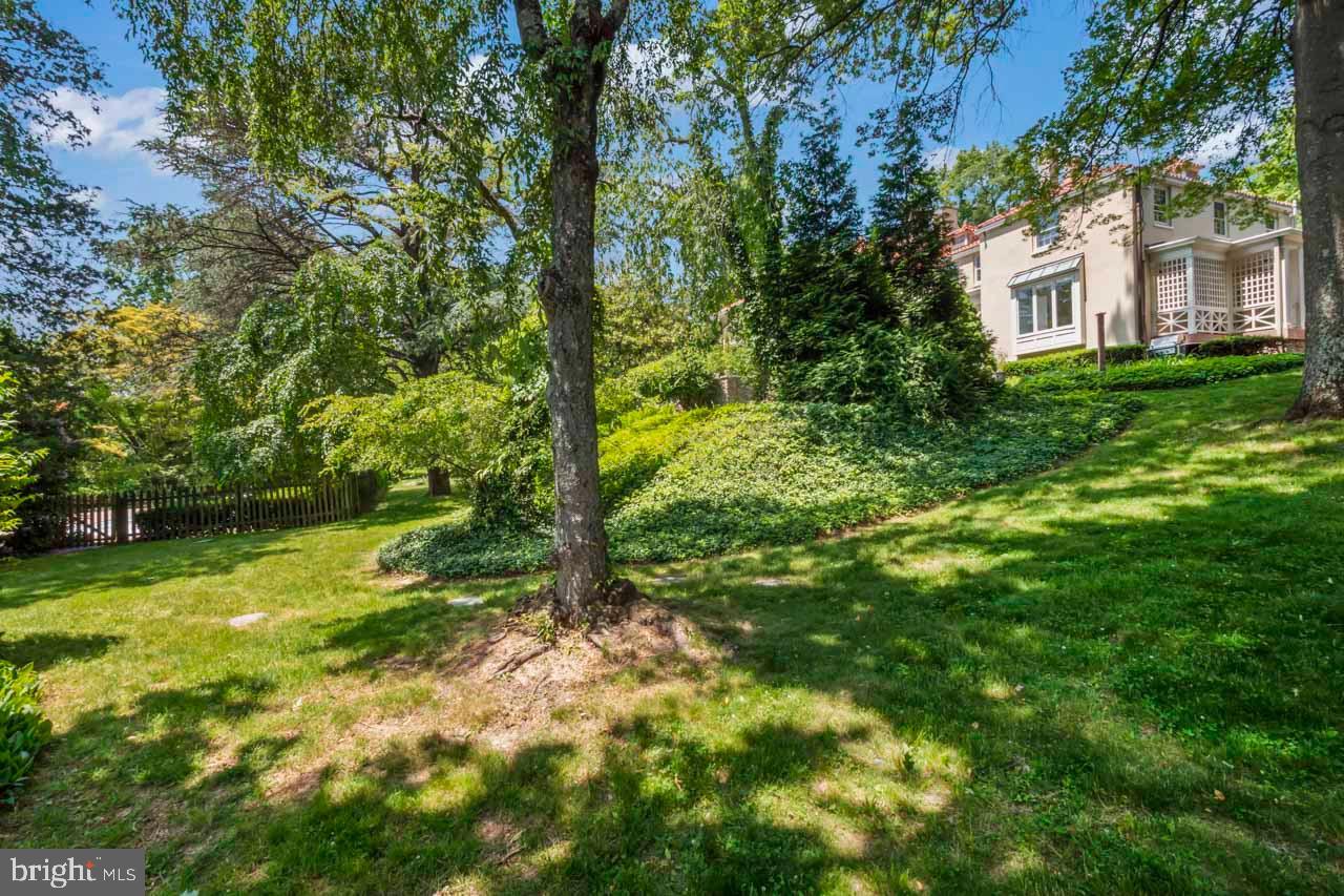 1539 Hampton