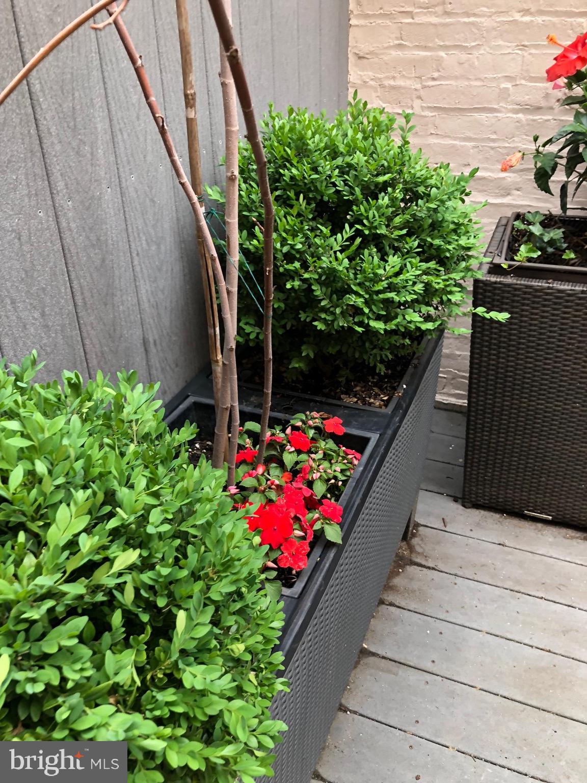 1831 Spruce STREET Unit: 2
