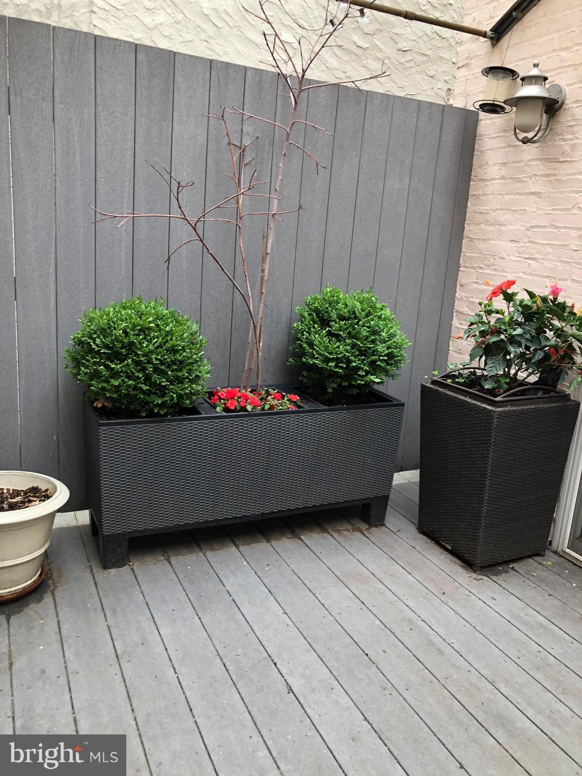 1831 Spruce STREET Unit: 2