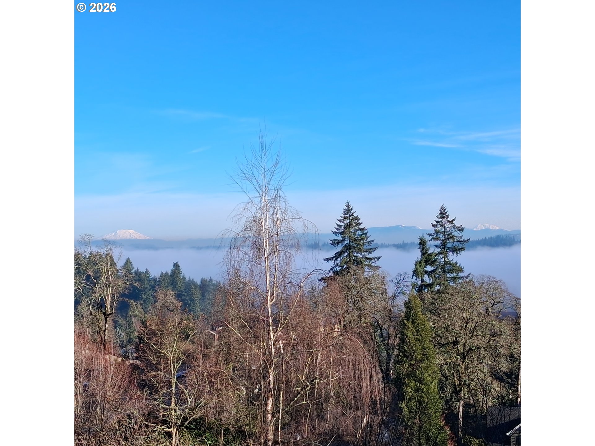 17765 HILLSIDE DR
