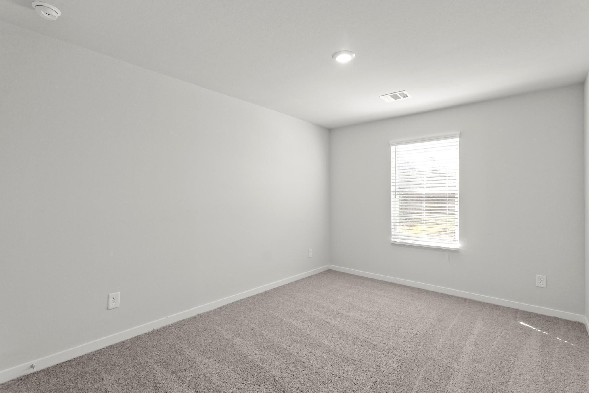 298 Brazen Forest Trl