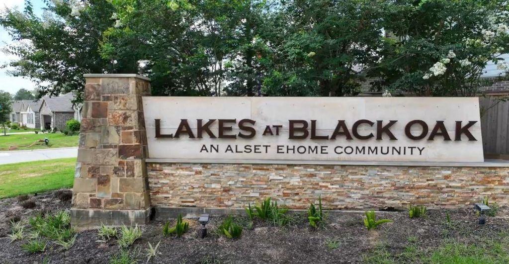 222 Brazen Forest Trl