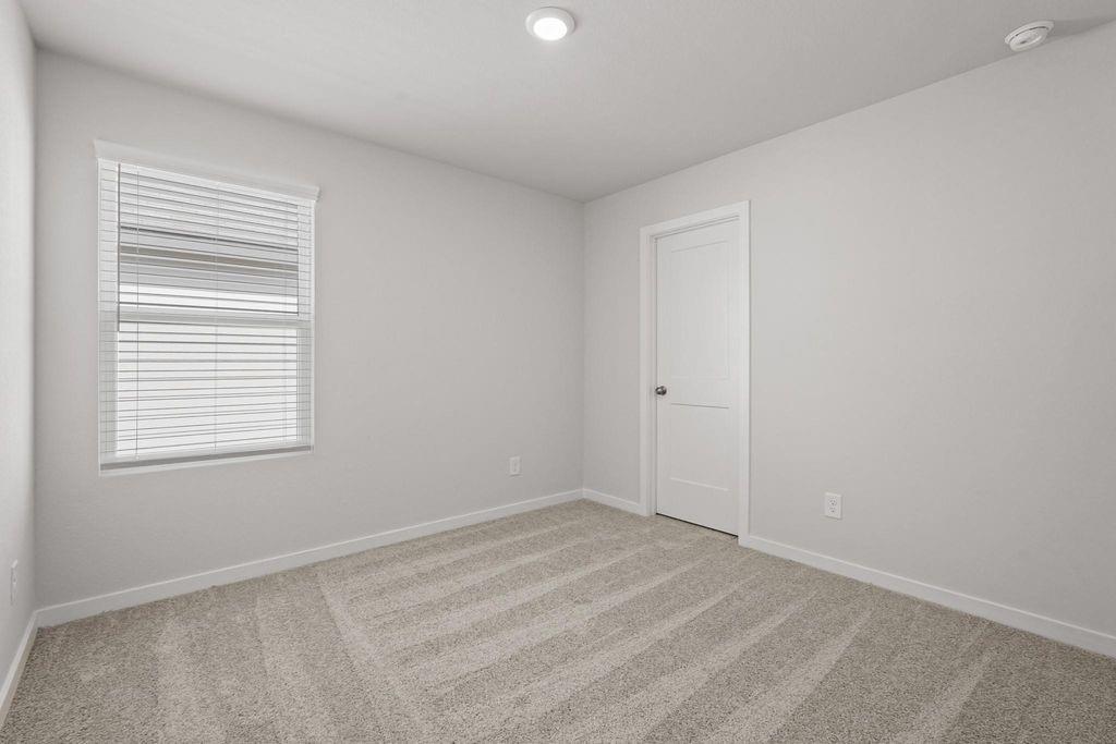 222 Brazen Forest Trl