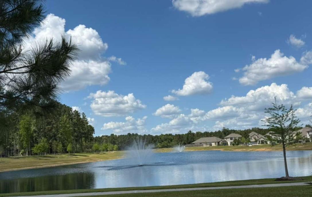 15349 Dapple Bluff Lane