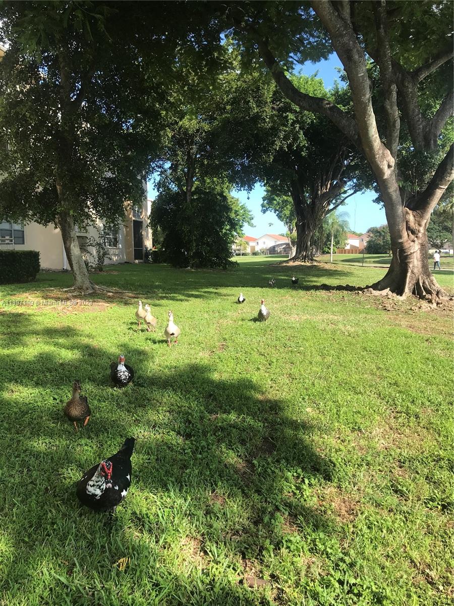 15295 SW 106 Ln Unit: 705