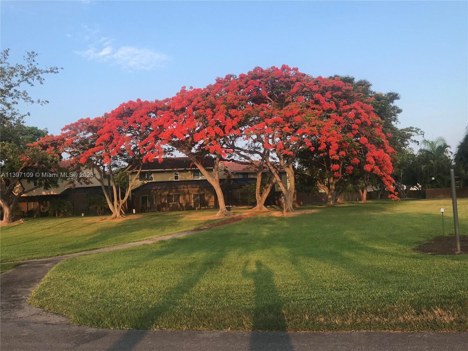 15295 SW 106 Ln Unit: 705